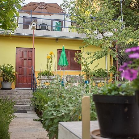 غييكا Apartment Pipo المظهر الخارجي الصورة